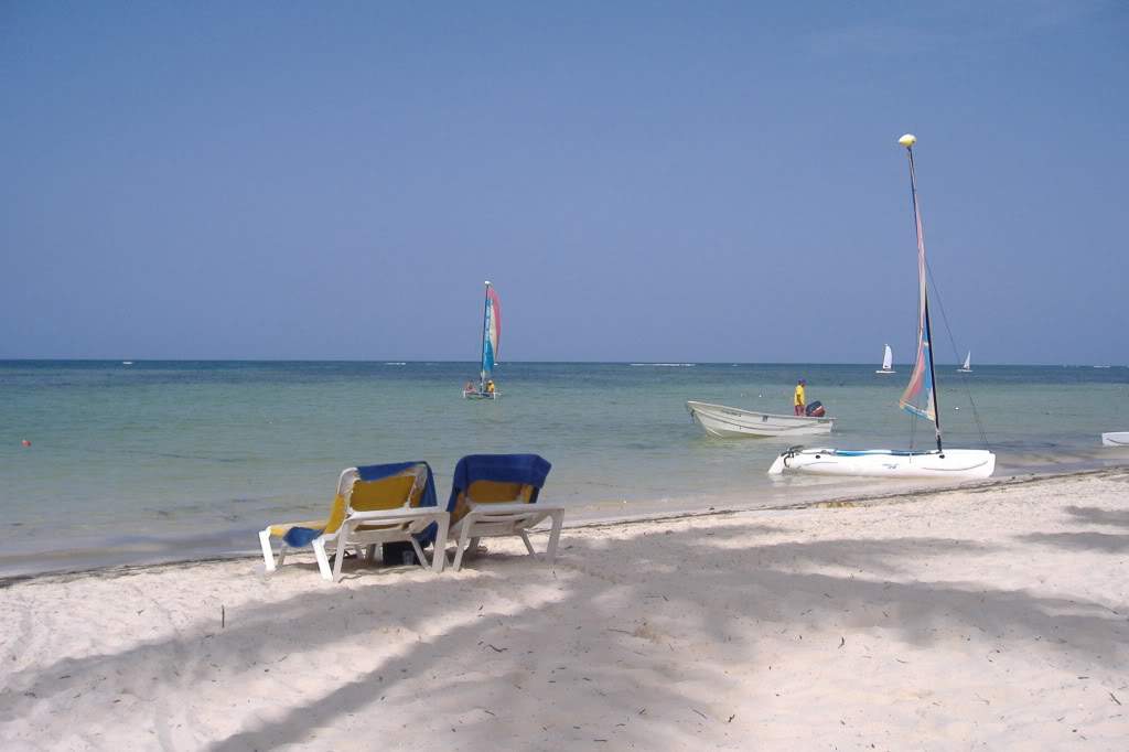 ai308.photobucket.com_albums_kk337_Ritapleite_DSCF4143.jpg
