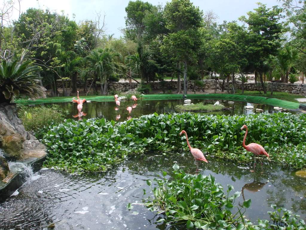 ai309.photobucket.com_albums_kk369_nclau2006_DSC02212.jpg