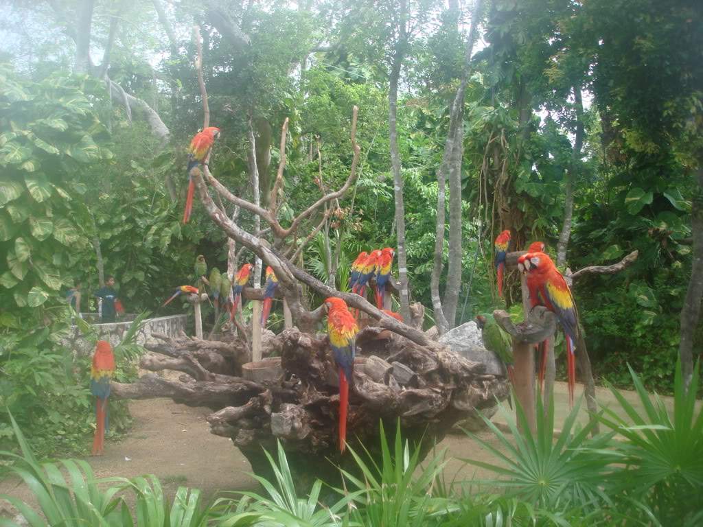 ai309.photobucket.com_albums_kk369_nclau2006_DSC02287.jpg