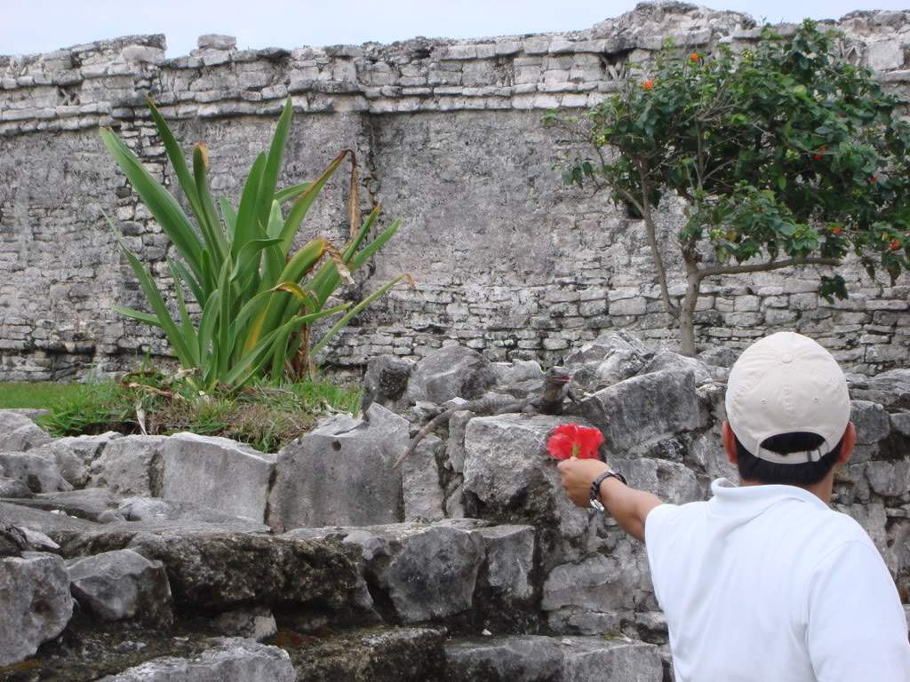 ai309.photobucket.com_albums_kk369_nclau2006_DSC02381.jpg