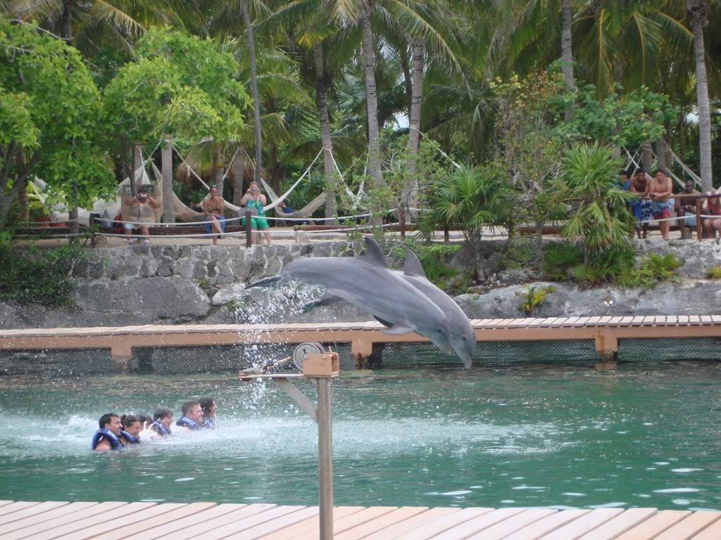 ai309.photobucket.com_albums_kk369_nclau2006_DSC02416.jpg