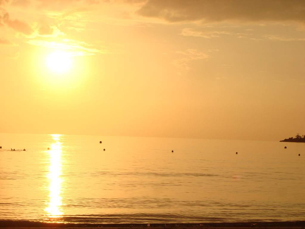 ai309.photobucket.com_albums_kk369_nclau2006_DSC04734.jpg