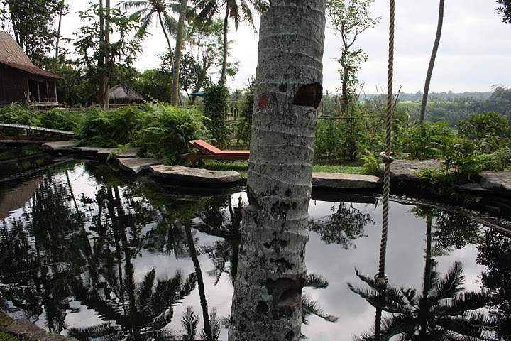 ai322.photobucket.com_albums_nn423_gfrz_Indonesia_BI_IMG_4571.jpg