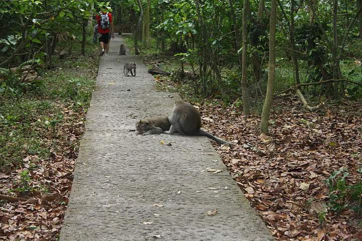 ai322.photobucket.com_albums_nn423_gfrz_Indonesia_BI_IMG_4595.jpg