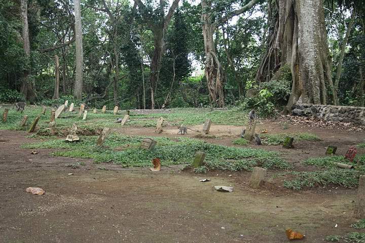 ai322.photobucket.com_albums_nn423_gfrz_Indonesia_BI_IMG_4599.jpg