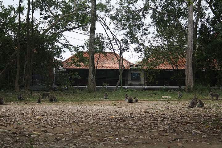 ai322.photobucket.com_albums_nn423_gfrz_Indonesia_BI_IMG_4603.jpg