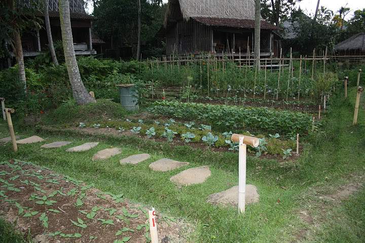 ai322.photobucket.com_albums_nn423_gfrz_Indonesia_BI_IMG_4650.jpg