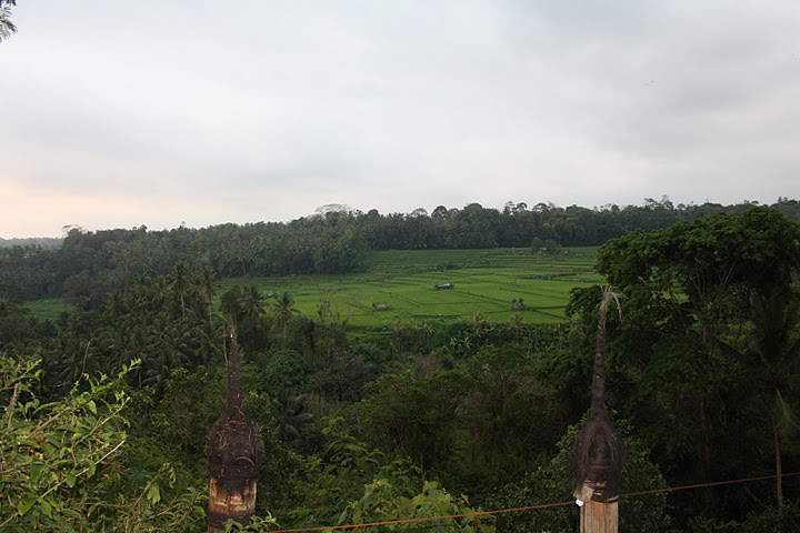 ai322.photobucket.com_albums_nn423_gfrz_Indonesia_BI_IMG_4651.jpg