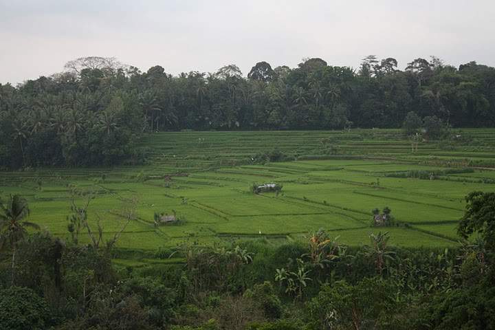 ai322.photobucket.com_albums_nn423_gfrz_Indonesia_BI_IMG_4652.jpg