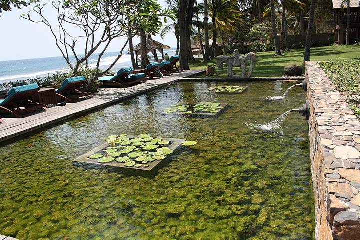 ai322.photobucket.com_albums_nn423_gfrz_Indonesia_JK_IMG_4125.jpg