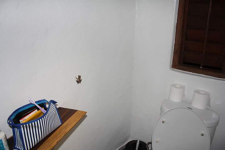 ai322.photobucket.com_albums_nn423_gfrz_Indonesia_micks_IMG_4079.jpg