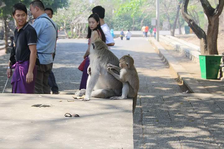 ai322.photobucket.com_albums_nn423_gfrz_Indonesia_TL_IMG_3674.jpg