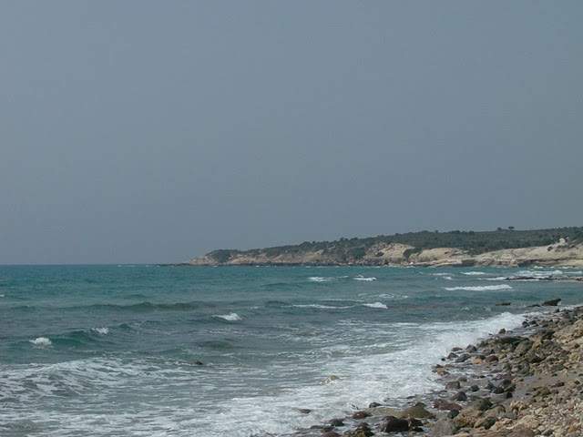 ai322.photobucket.com_albums_nn423_gfrz_Kos_HPIM1993.jpg