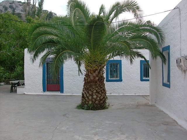 ai322.photobucket.com_albums_nn423_gfrz_Kos_HPIM2152.jpg