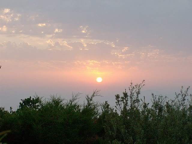 ai322.photobucket.com_albums_nn423_gfrz_Kos_HPIM2161.jpg