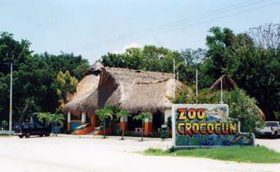 ai322.photobucket.com_albums_nn423_gfrz_Mexico_crococun.jpg
