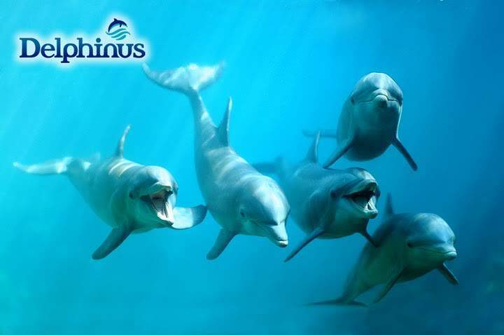 ai322.photobucket.com_albums_nn423_gfrz_Mexico_imagenes9.jpg