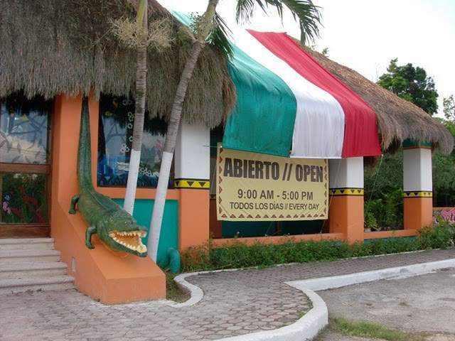 ai322.photobucket.com_albums_nn423_gfrz_Mexico_mexico341.jpg