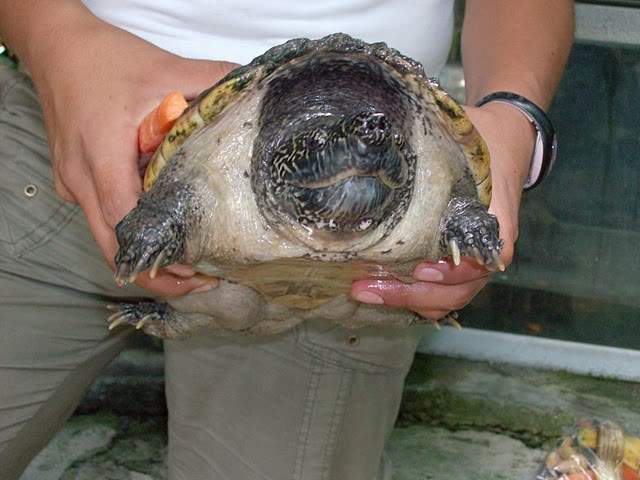 ai322.photobucket.com_albums_nn423_gfrz_Mexico_mexico371.jpg