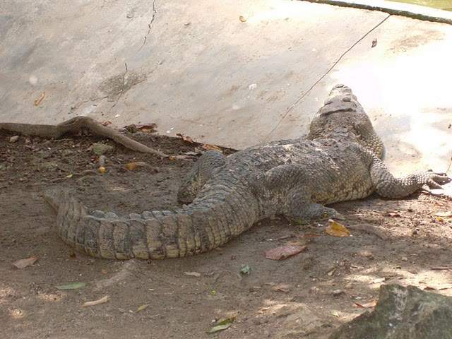 ai322.photobucket.com_albums_nn423_gfrz_Mexico_mexico378.jpg