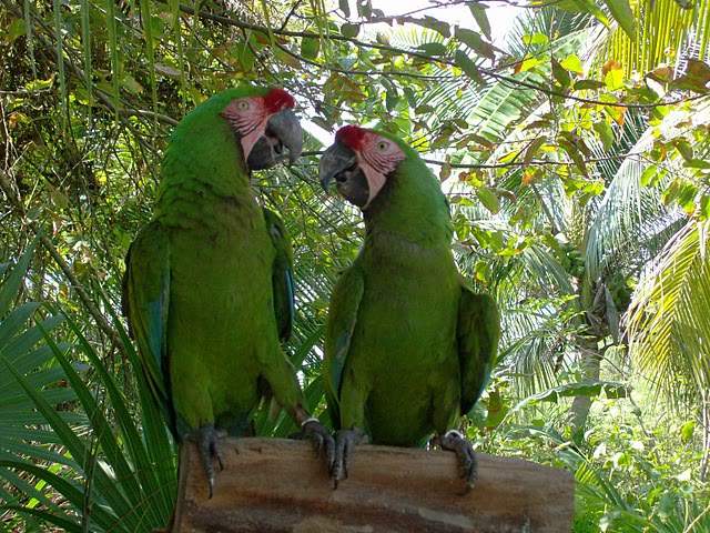 ai322.photobucket.com_albums_nn423_gfrz_Mexico_mexico460.jpg