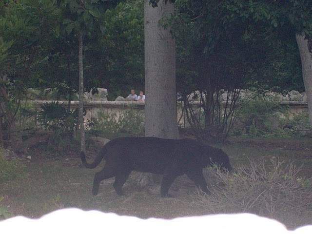 ai322.photobucket.com_albums_nn423_gfrz_Mexico_mexico491.jpg