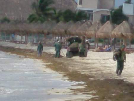 ai322.photobucket.com_albums_nn423_gfrz_Mexico_mexico621_1.jpg