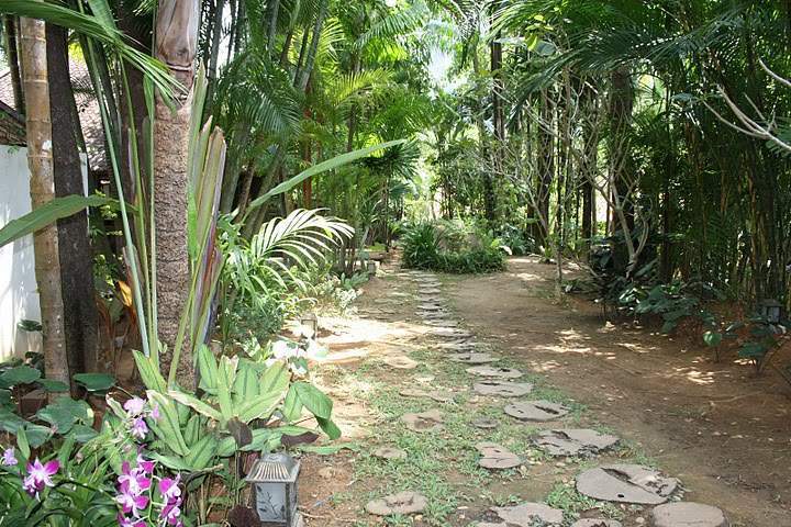 ai322.photobucket.com_albums_nn423_gfrz_Tailandia_Ao_20Nang_IMG_1232.jpg