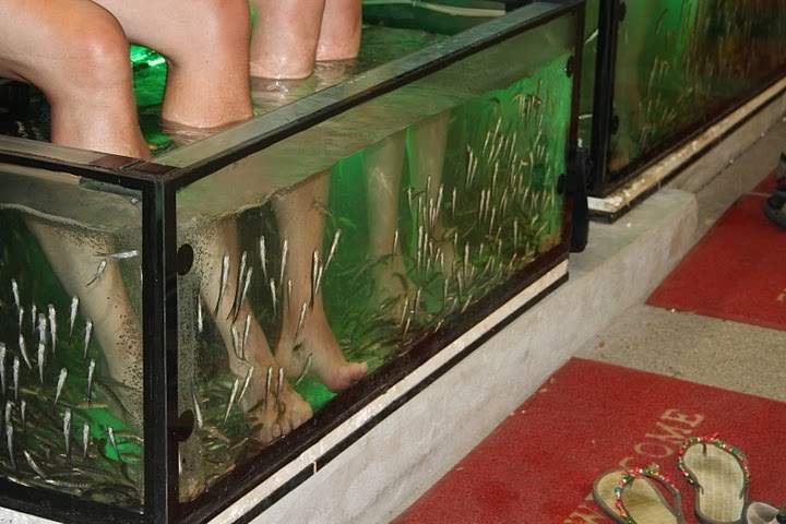 ai322.photobucket.com_albums_nn423_gfrz_Tailandia_Ao_20Nang_IMG_1330.jpg