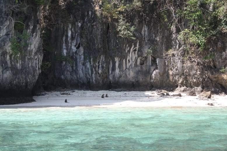ai322.photobucket.com_albums_nn423_gfrz_Tailandia_others_IMG_1803.jpg