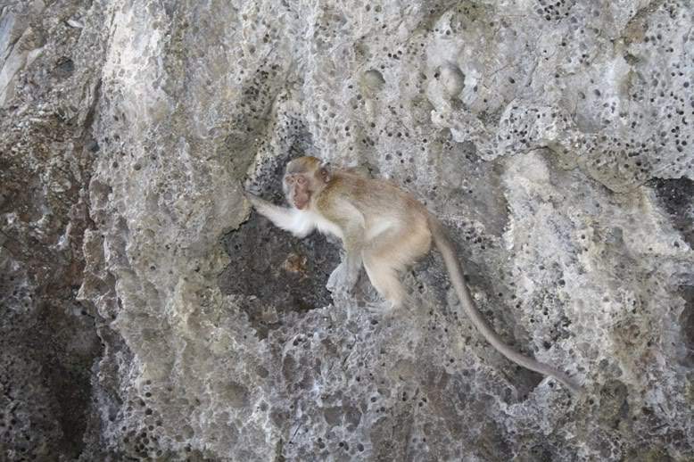 ai322.photobucket.com_albums_nn423_gfrz_Tailandia_others_IMG_1811.jpg