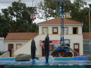 ai34.servimg.com_u_f34_12_64_94_73_dsc00614.jpg