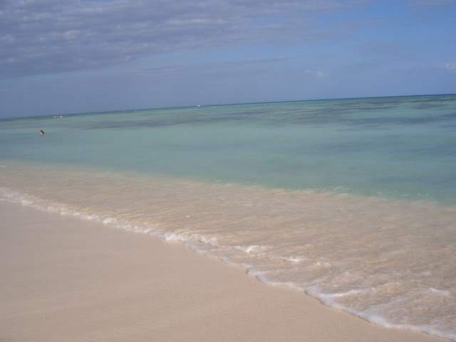 ai365.photobucket.com_albums_oo91_LilianaPinheiro_CIMG0039_0.jpg