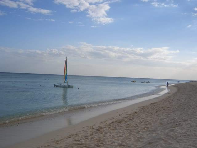ai365.photobucket.com_albums_oo91_LilianaPinheiro_CIMG0045.jpg