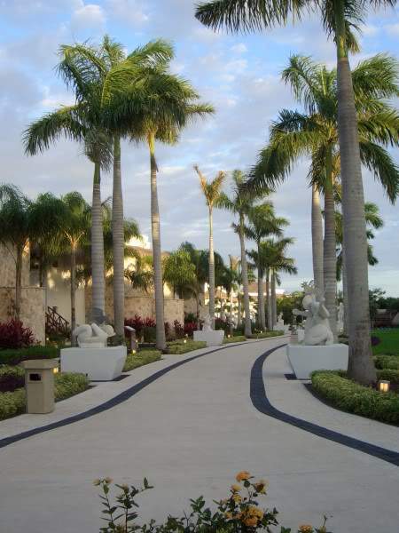ai365.photobucket.com_albums_oo91_LilianaPinheiro_CIMG0063.jpg