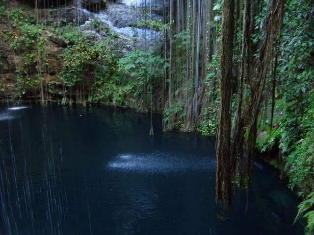 ai365.photobucket.com_albums_oo91_LilianaPinheiro_CIMG0649.jpg