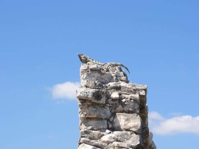 ai365.photobucket.com_albums_oo91_LilianaPinheiro_CIMG0781.jpg