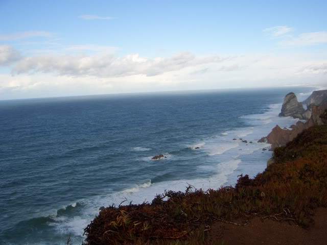 ai365.photobucket.com_albums_oo91_LilianaPinheiro_CIMG1286.jpg