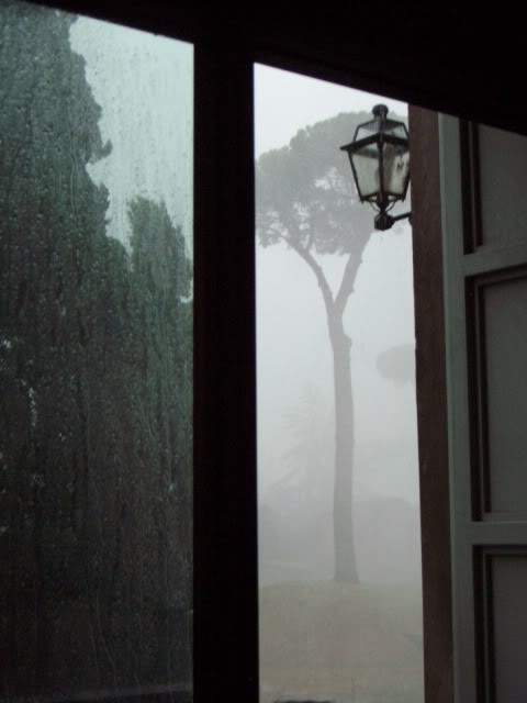 ai365.photobucket.com_albums_oo91_LilianaPinheiro_Julho2009_CIMG0178.jpg