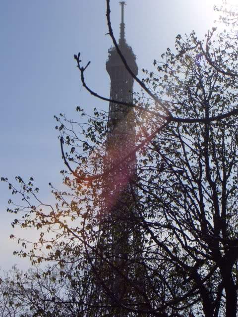 ai365.photobucket.com_albums_oo91_LilianaPinheiro_Paris_CIMG0079_1.jpg