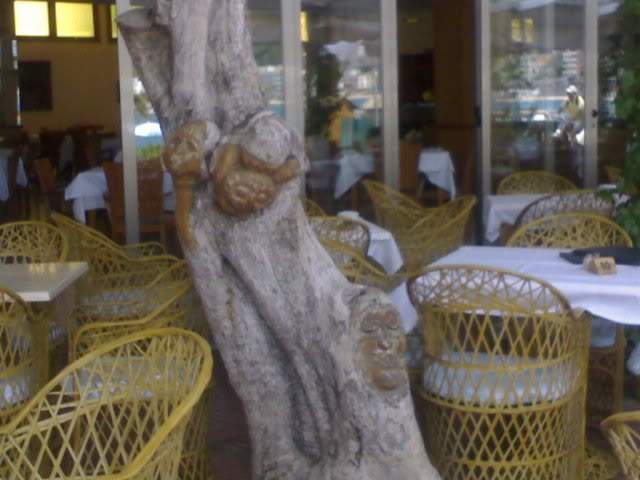 ai375.photobucket.com_albums_oo193_Paulo_Leite_06062009033.jpg