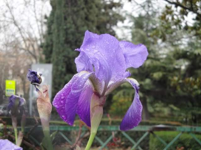 ai375.photobucket.com_albums_oo193_Paulo_Leite_DSC01154800x600.jpg