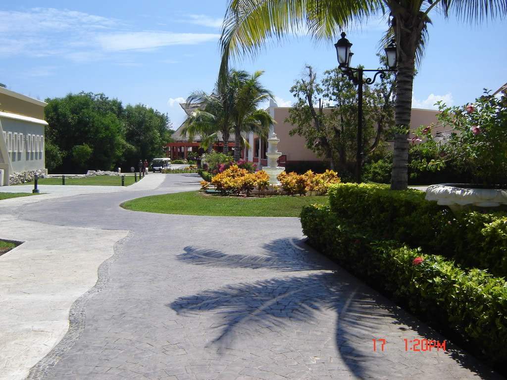ai375.photobucket.com_albums_oo193_Paulo_Leite_DSC04421.jpg