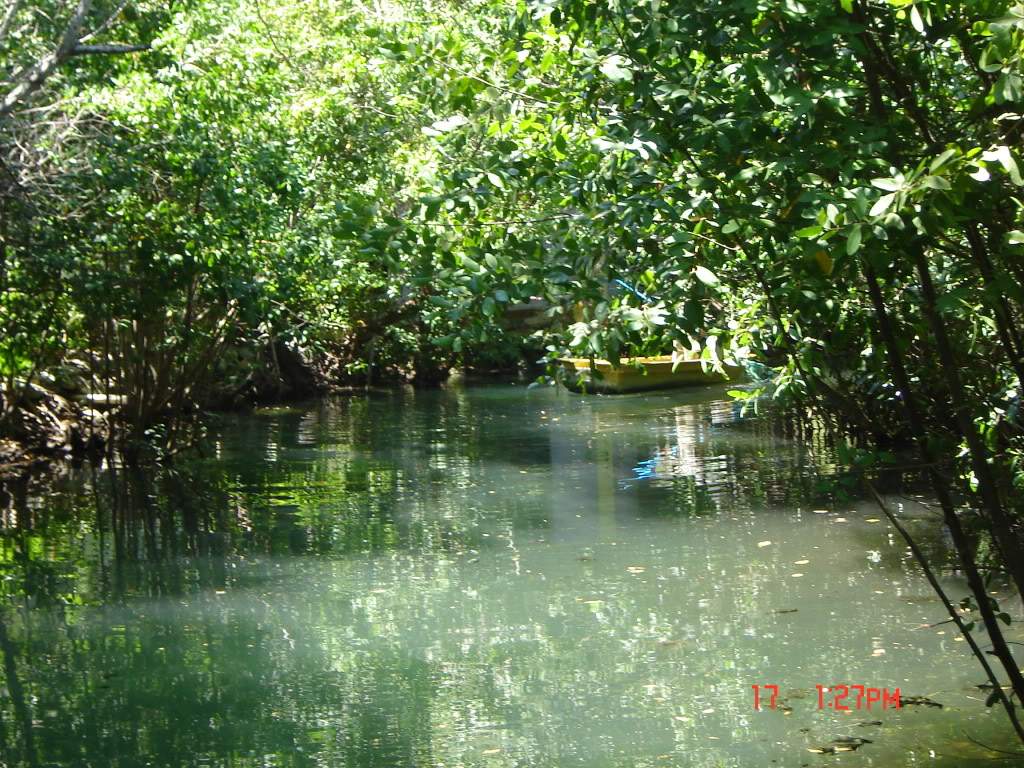 ai375.photobucket.com_albums_oo193_Paulo_Leite_DSC04426.jpg
