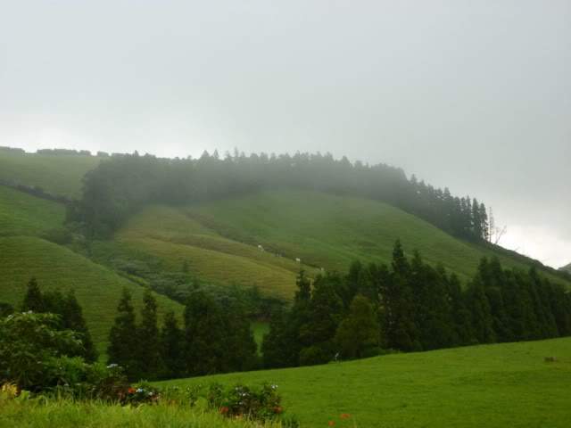 ai375.photobucket.com_albums_oo193_Paulo_Leite_Foto13800x600.jpg