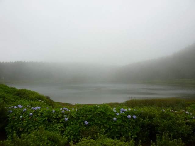 ai375.photobucket.com_albums_oo193_Paulo_Leite_Foto16800x600.jpg