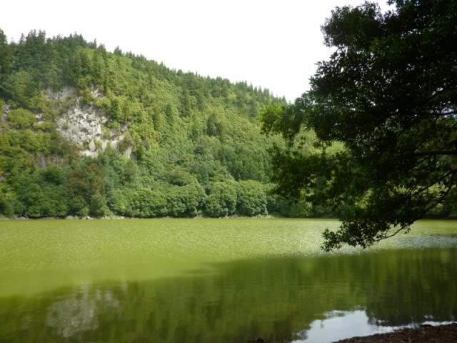 ai375.photobucket.com_albums_oo193_Paulo_Leite_Foto39800x600.jpg
