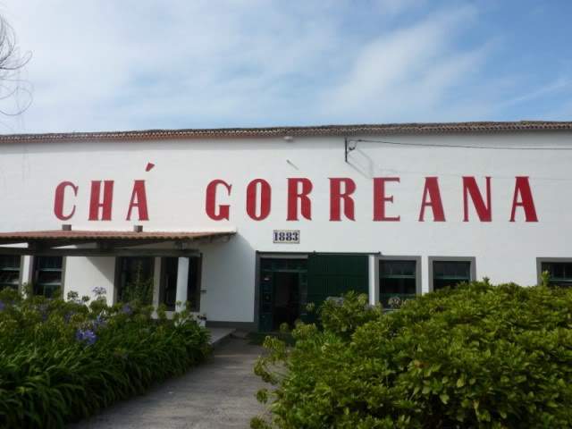 ai375.photobucket.com_albums_oo193_Paulo_Leite_Foto45800x600.jpg
