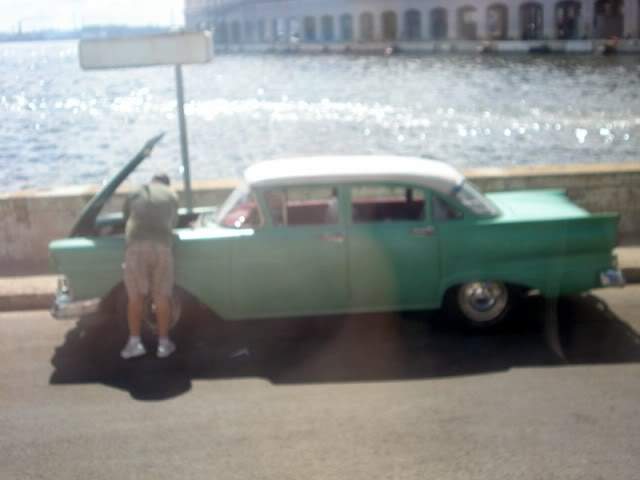 ai375.photobucket.com_albums_oo193_Paulo_Leite_sofiamoreira800x600.jpg