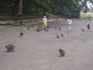 ai377.photobucket.com_albums_oo217_margaridadf_P1010136.jpg